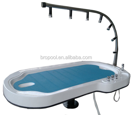 Tabela de dobradura da cama do chuveiro de Vichy da hidroterapia VS-02 para a casa de banho com chuveiro interna