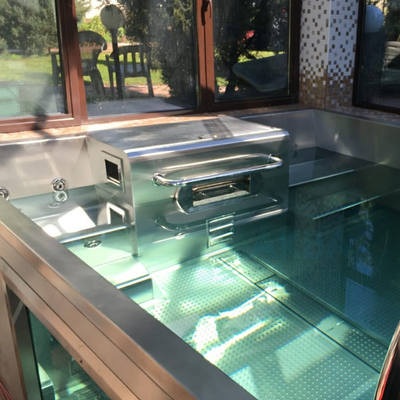 Associação luxuosa dos termas modulares bonitos 12x24 Inground da nadada da associação do inground do quadro do metal do jardim de Hydromassage